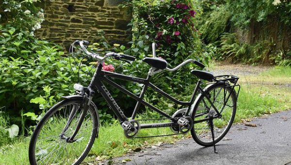 Quel vélo électrique biplace voulez-vous acheter ?