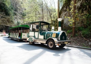 Comment intégrer un petit train dans une fête familiale ?
