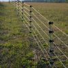 Clôture électrique : quelle hauteur choisir selon l’animal à contenir ?