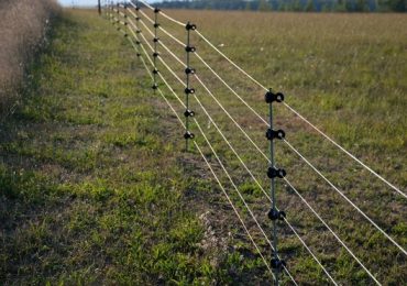 Clôture électrique : quelle hauteur choisir selon l’animal à contenir ?